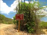Escondida Beach of Vieques - VIEQUES